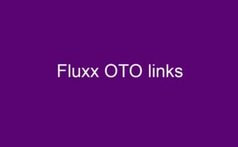 Fluxx review