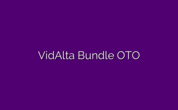 VidAlta Bundle review