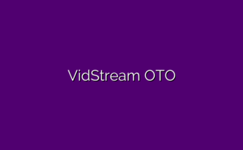 VidStream review