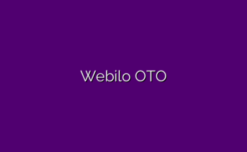 Webilo review