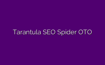 Tarantula SEO Spider review