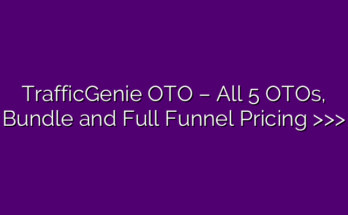 TrafficGenie review